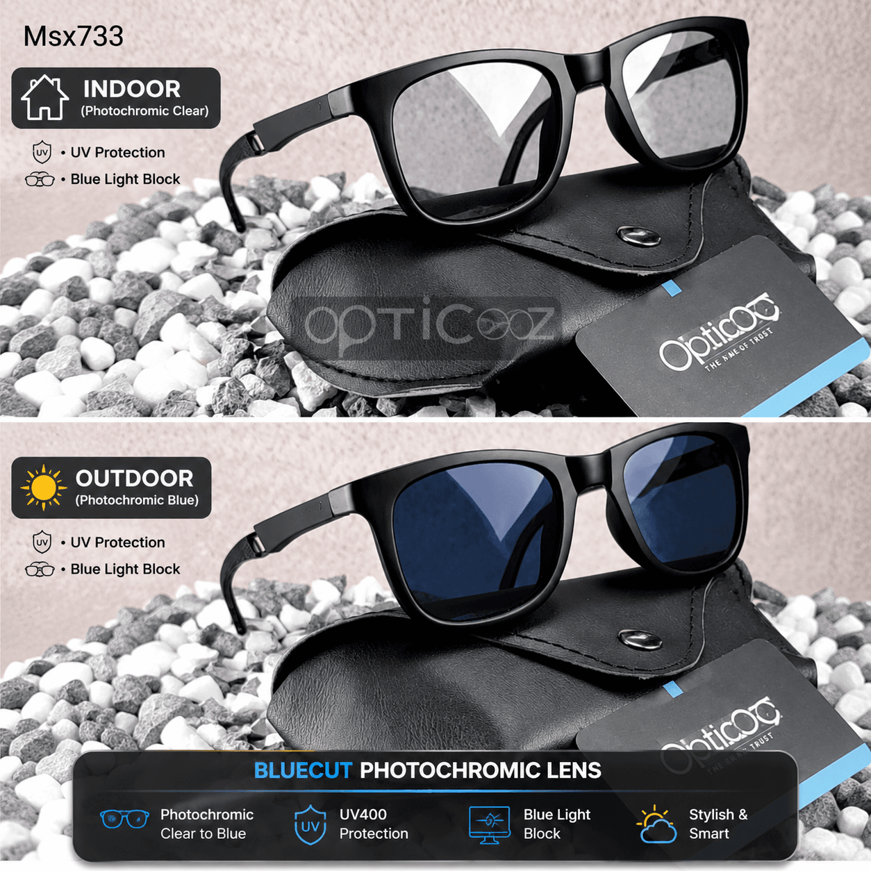 241 Premium Wayefarer Sunglasses